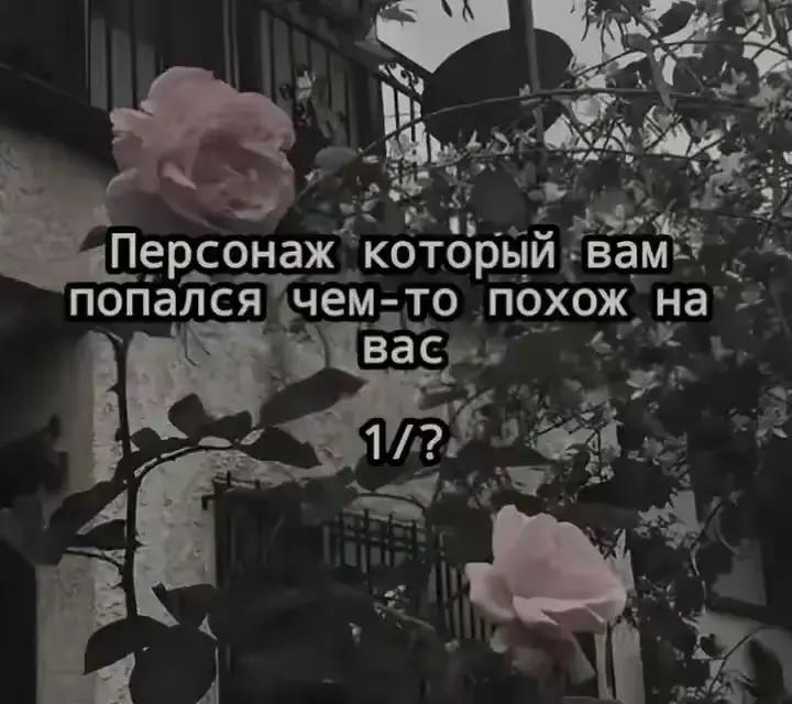 @Карай~384