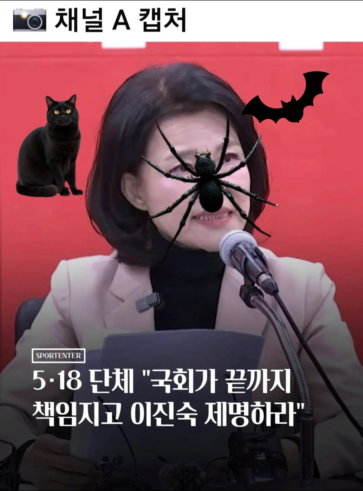 @🌺시라소니[본]🌺