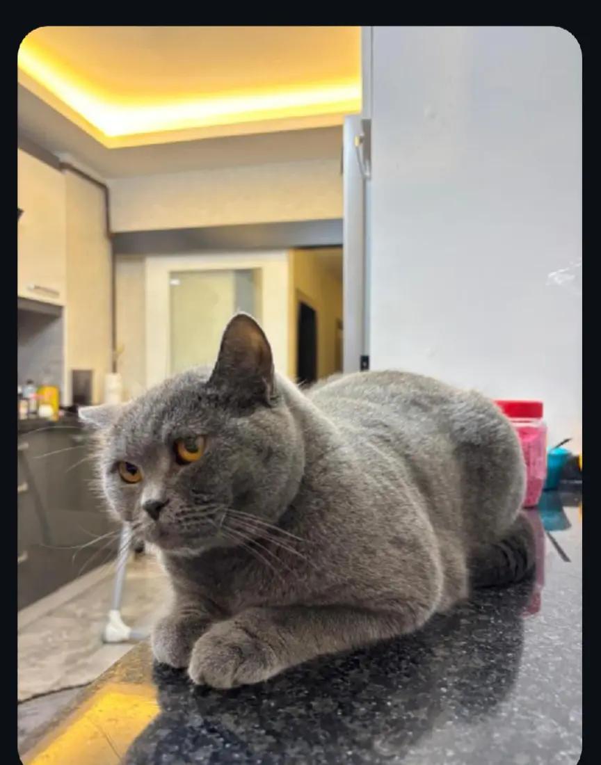@Dorukuşundünyası