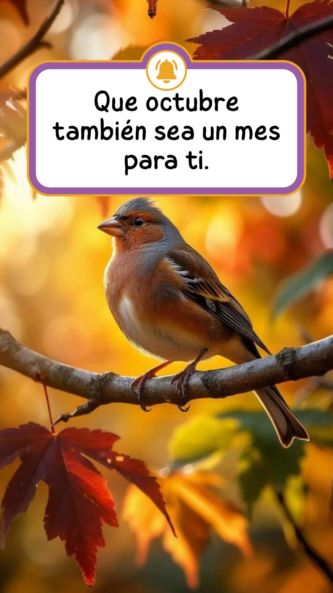 @Leisla | Frases & Reflexiones