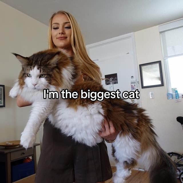 @𝗗𝗮𝗿𝗸
