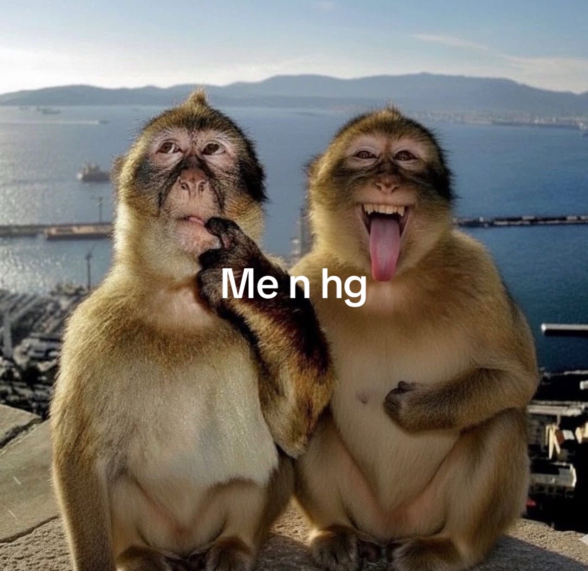 @myla
