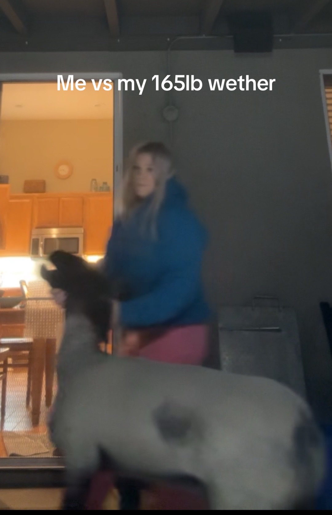 @kyleelivestock