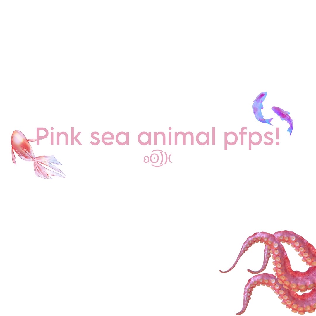 @⋆˙⟡𖦹✮𖦹⟡˙⋆