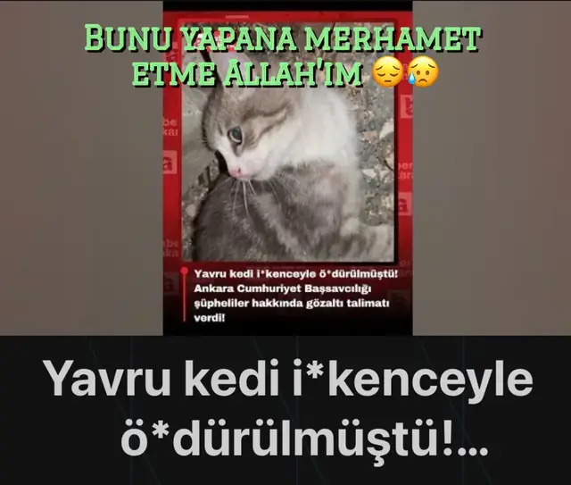 @Ay ışığı 🌙🌟