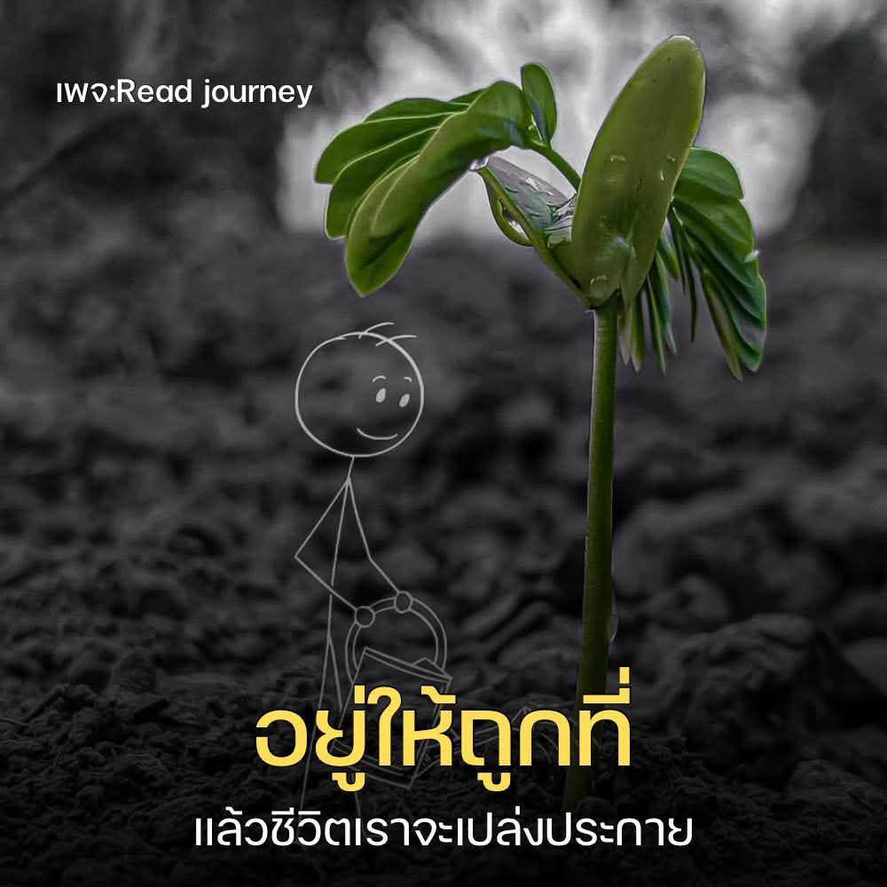 @ทำใจแล้วไปดูดวง