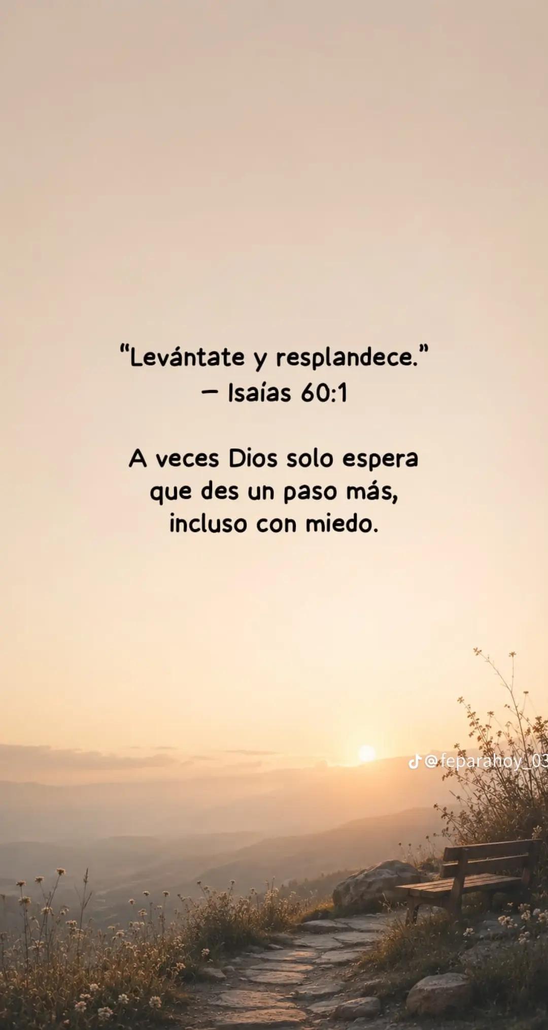 @jose luis canelo