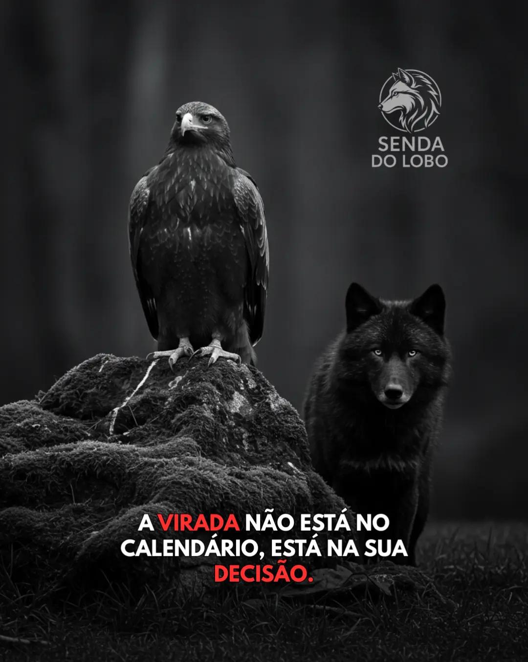 @Senda do Lobo