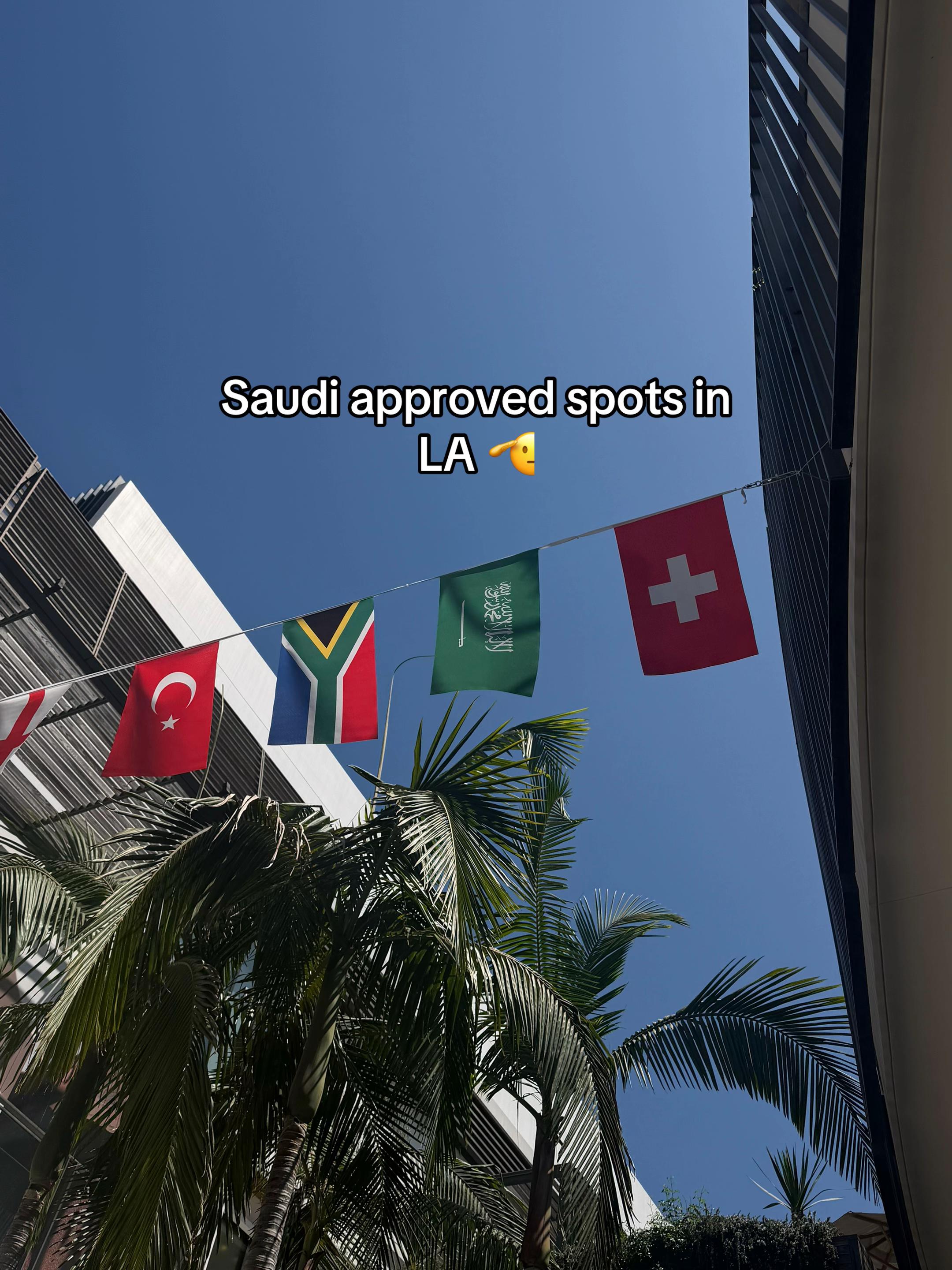 @🇸🇦