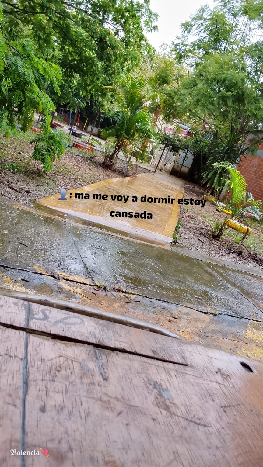 @V&Lambda;L&Xi;NCI&Lambda;:/