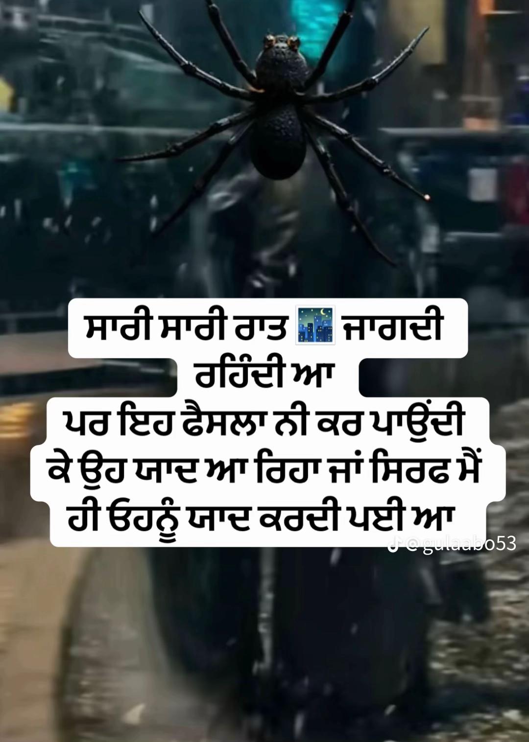 @kaur