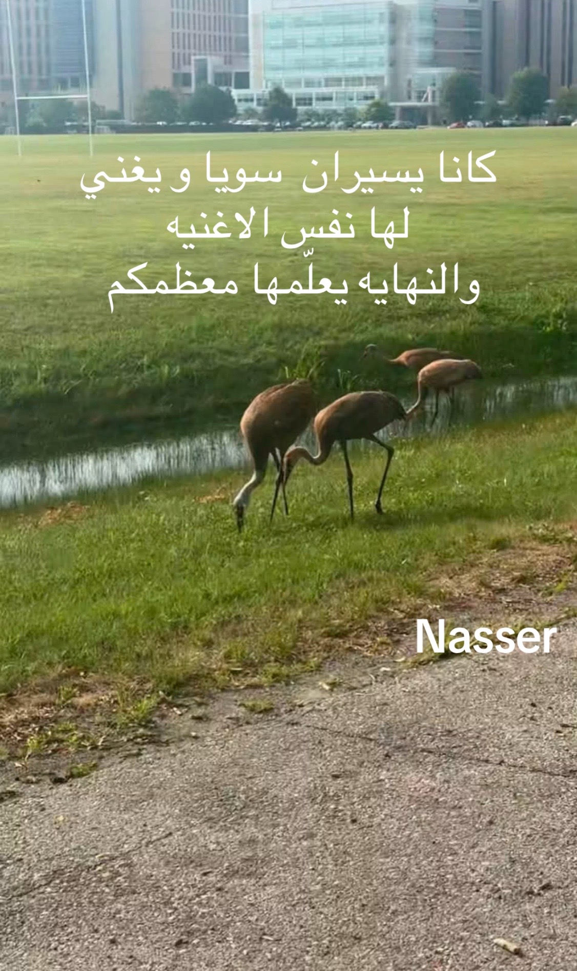 @Nasser