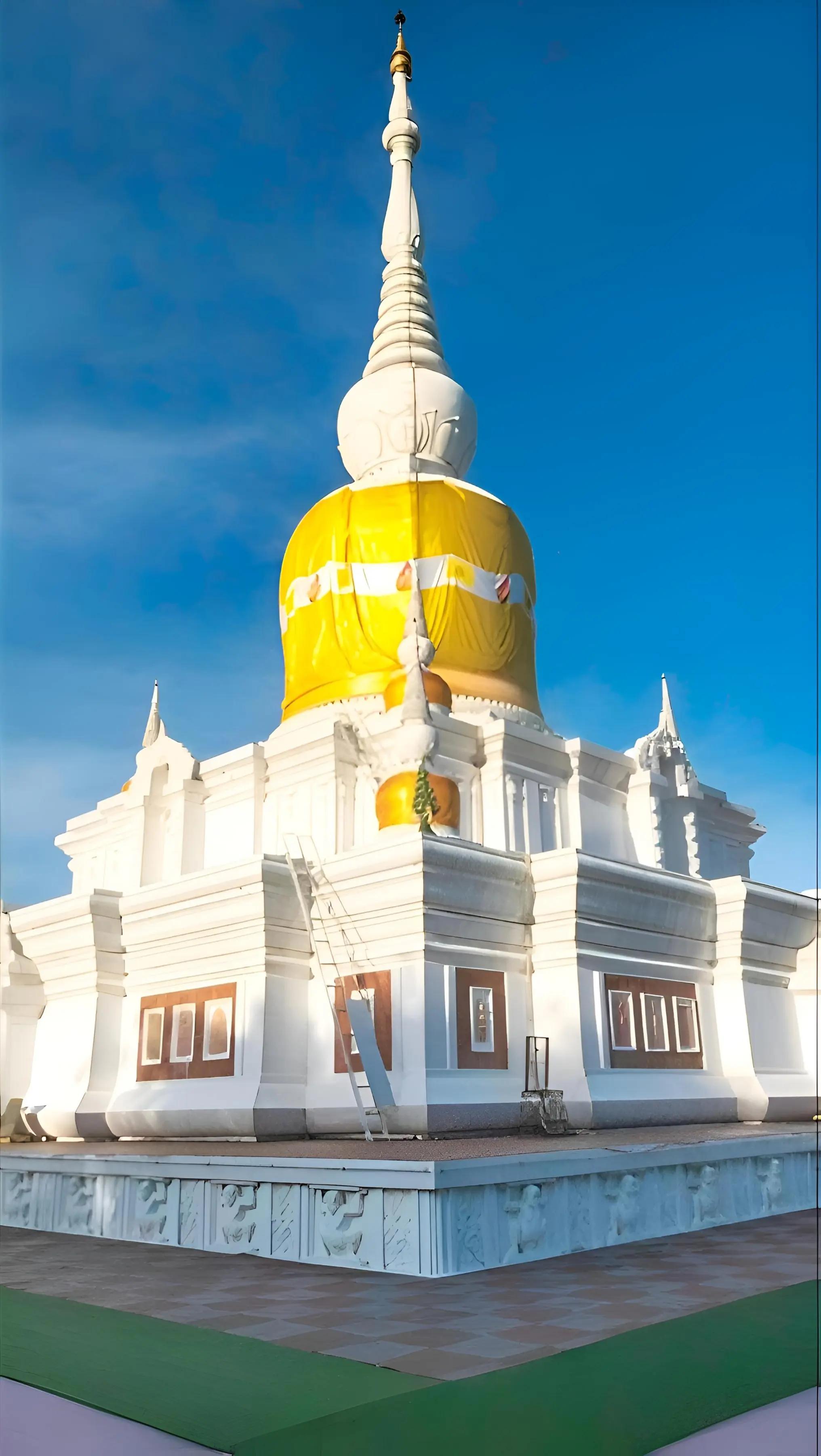 @#บ้านแมว มหาสารคาม마하사라캄 고양이의 집