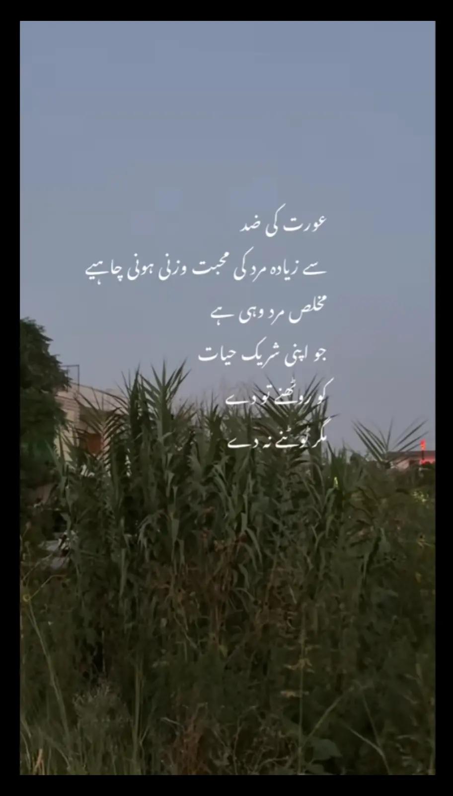 @مدیحہ صدیق🥰