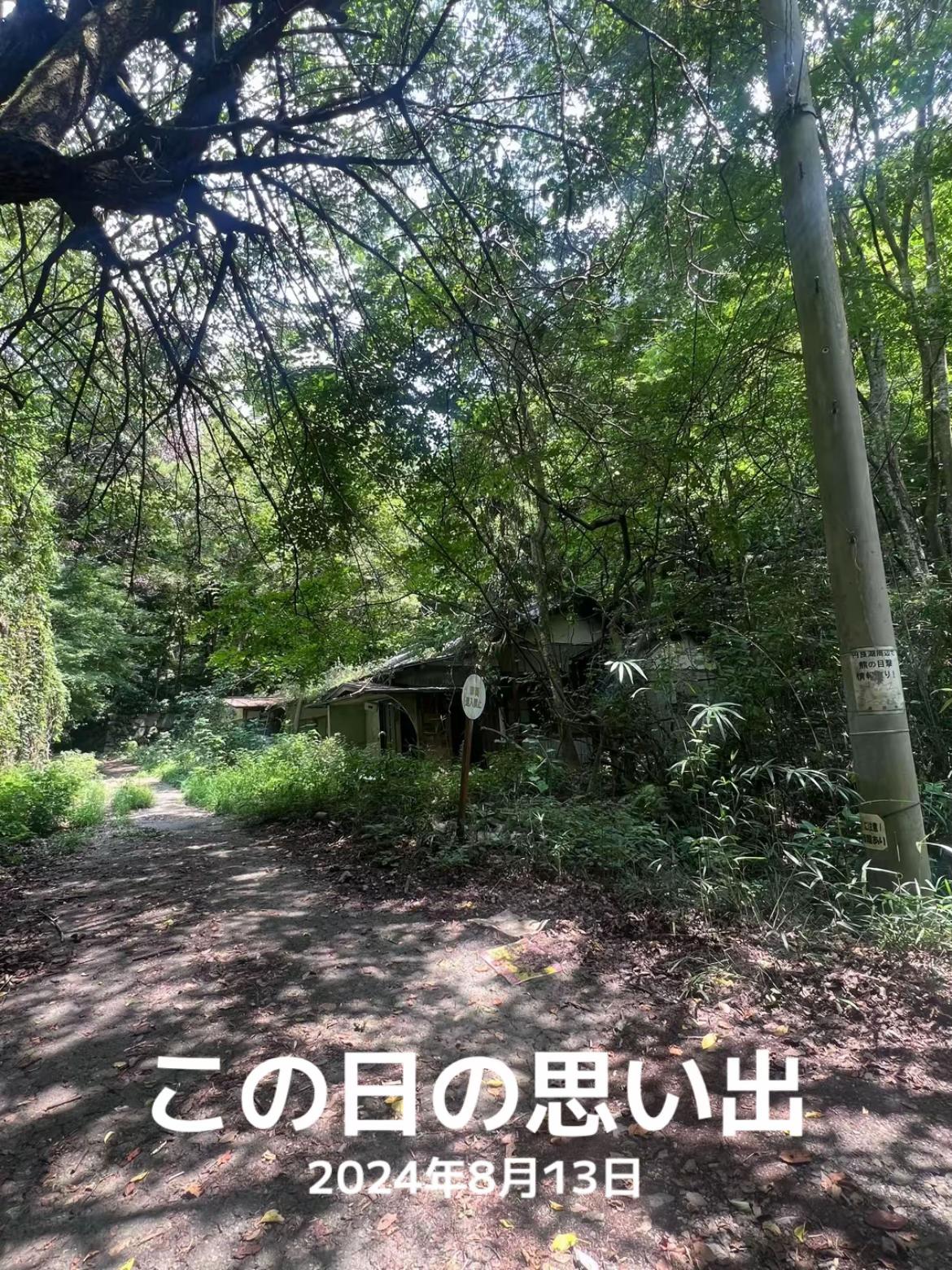 @納豆の光