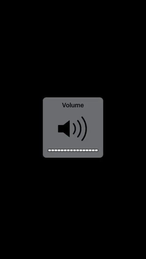 @Bxngxr Music