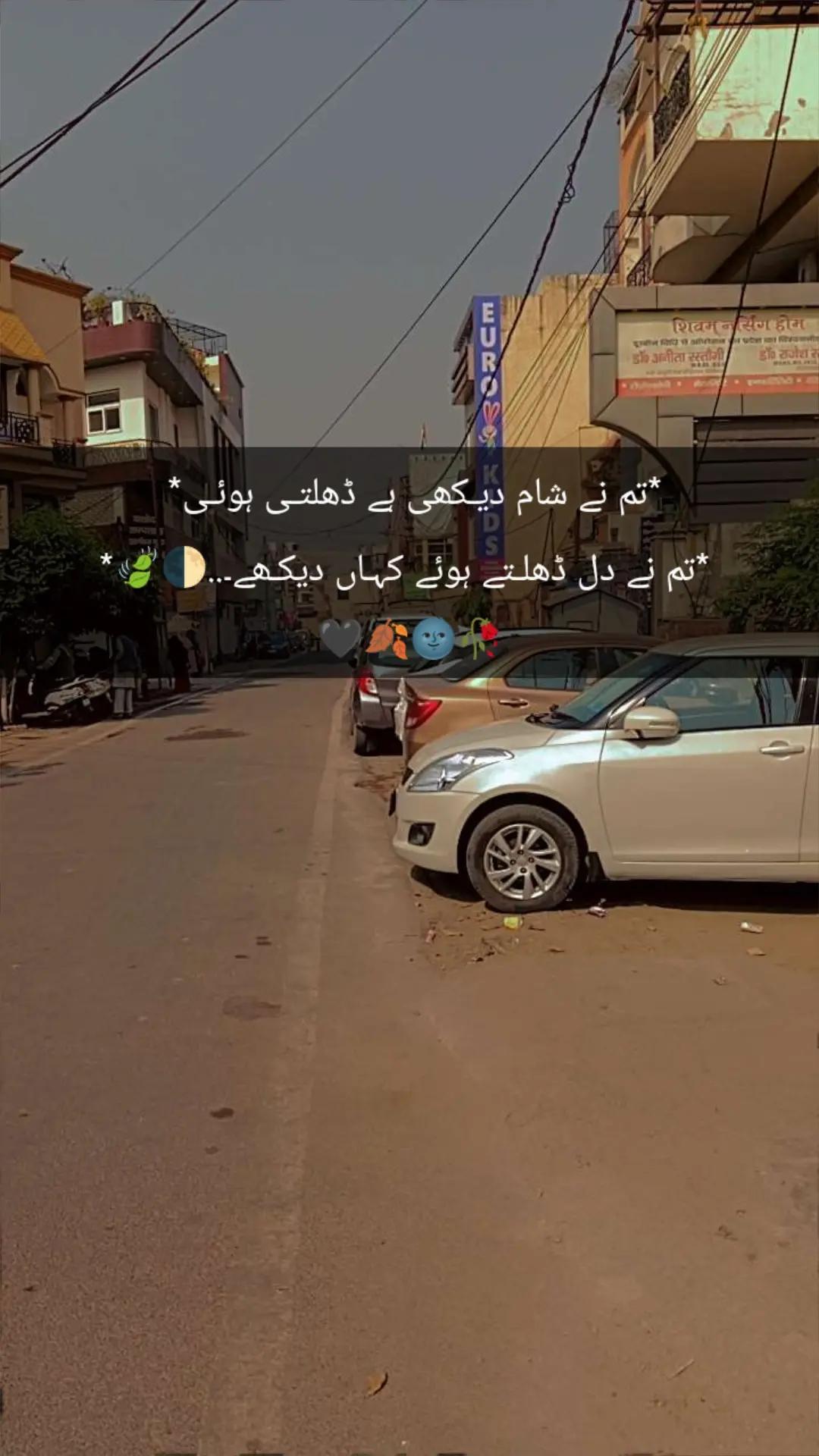 @*꧁༺ گوندل زادی ༻꧂*