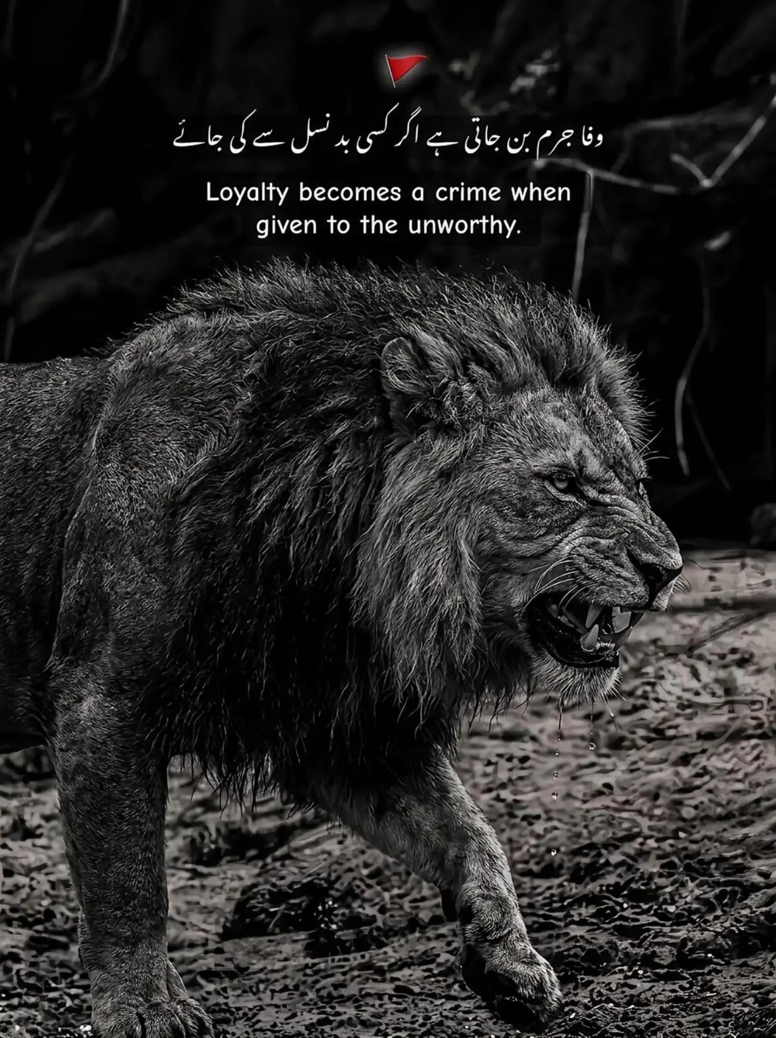 @Ch.Uzair £🚩