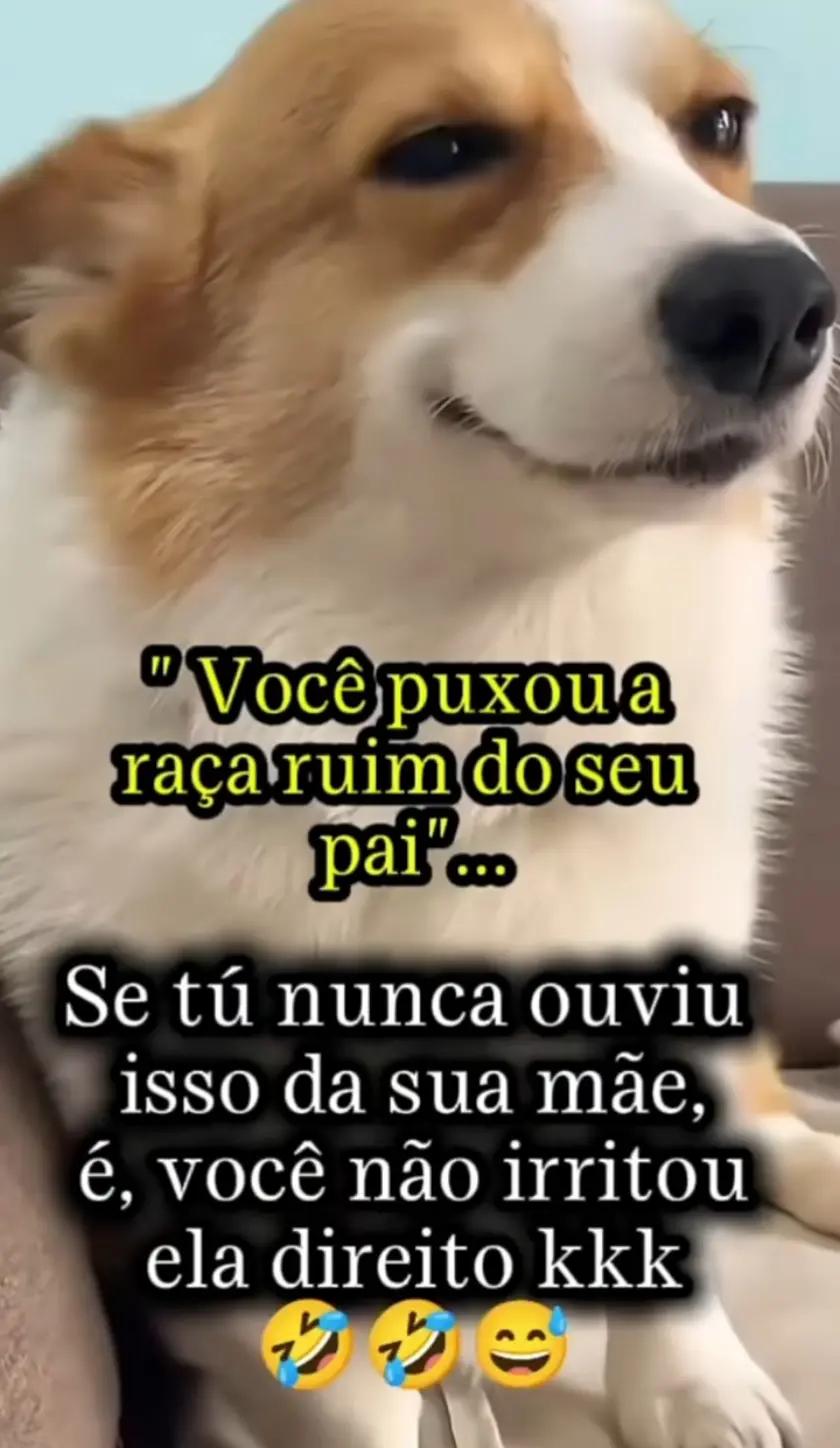@vandosilva1839