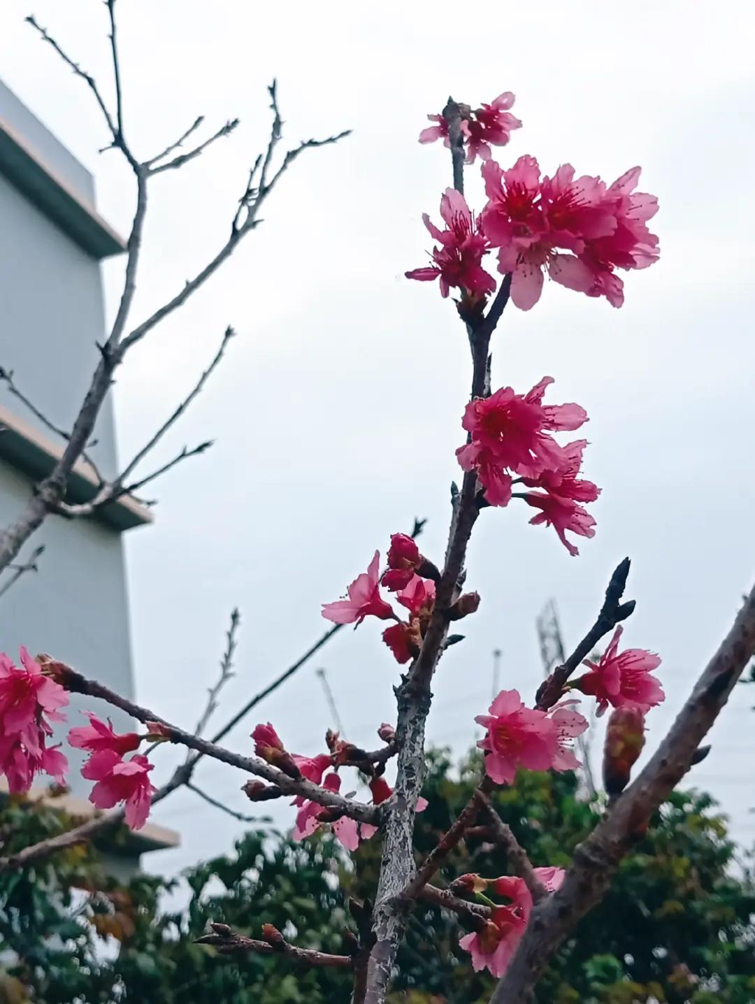 @DiajengNP🕊