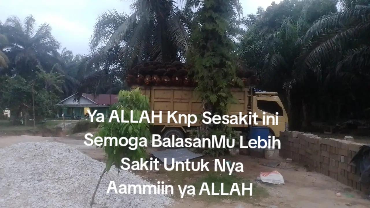 @Dedi GS