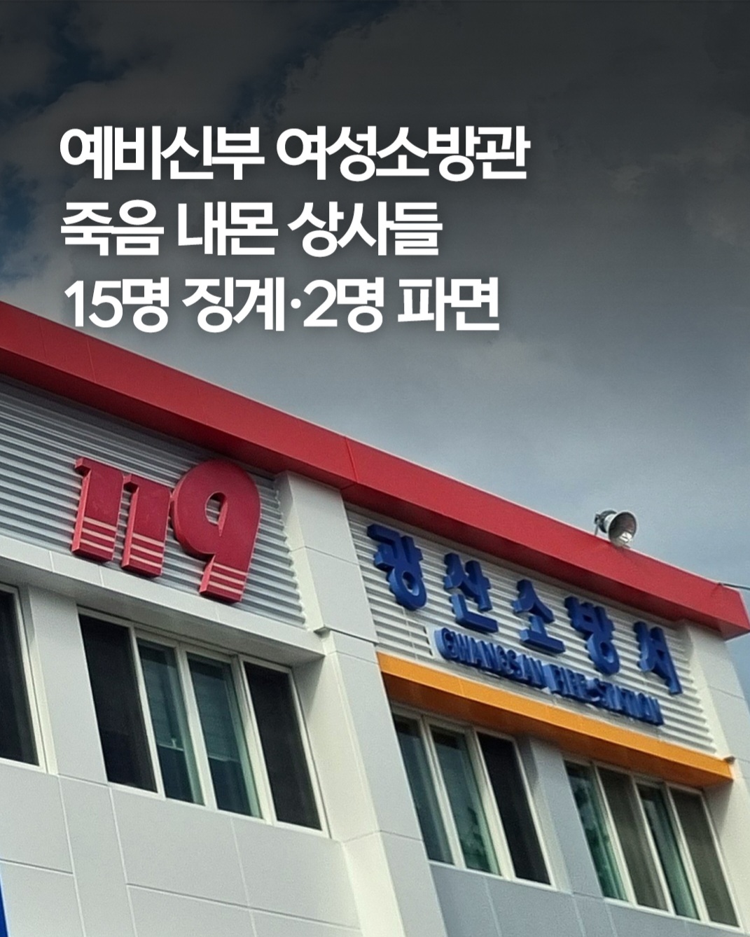 @🌺시라소니[본]🌺