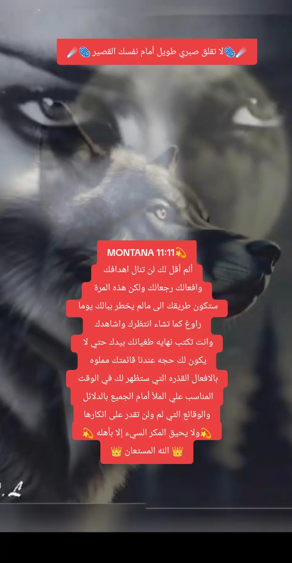 @💫✨☄️ELTWAAFF☄️✨💫
