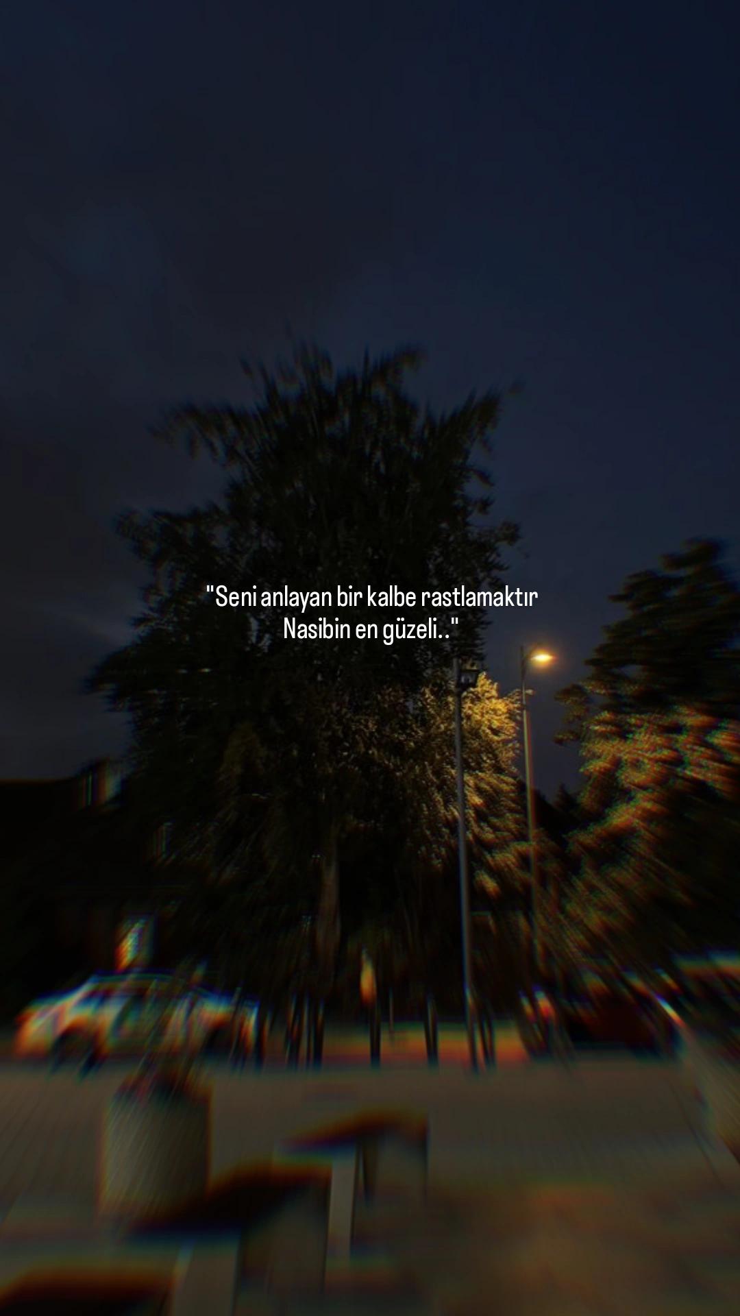 @1siyahsokak