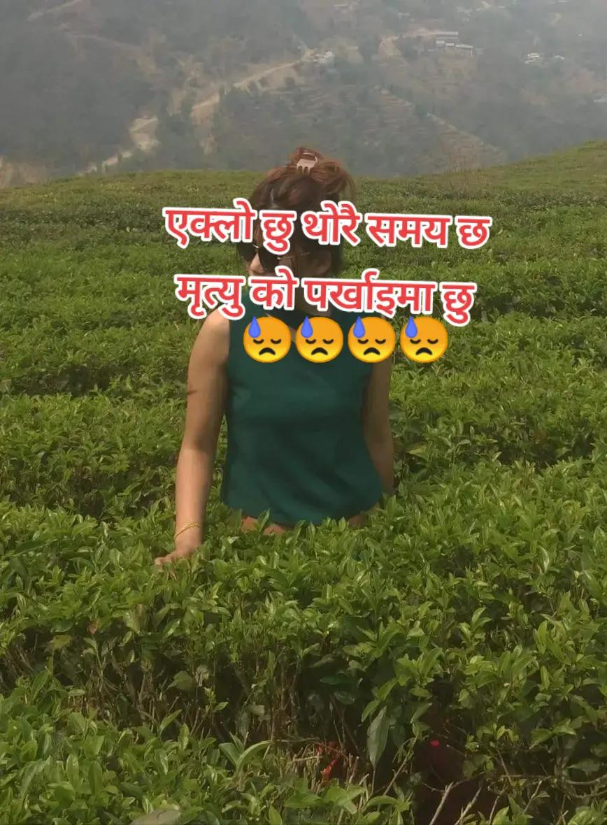 @Dolma Lama