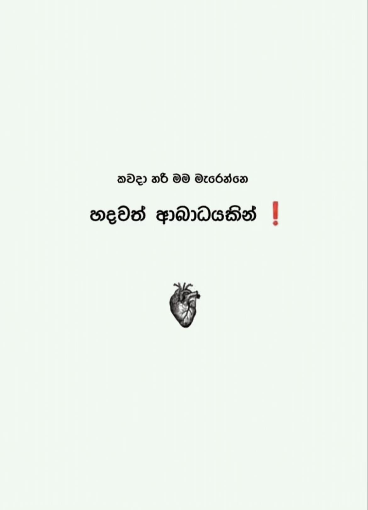 @Miyondi|මියොන්දි|மியொன்தி 🍷