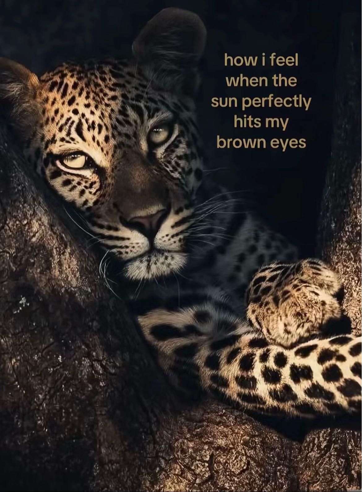@..