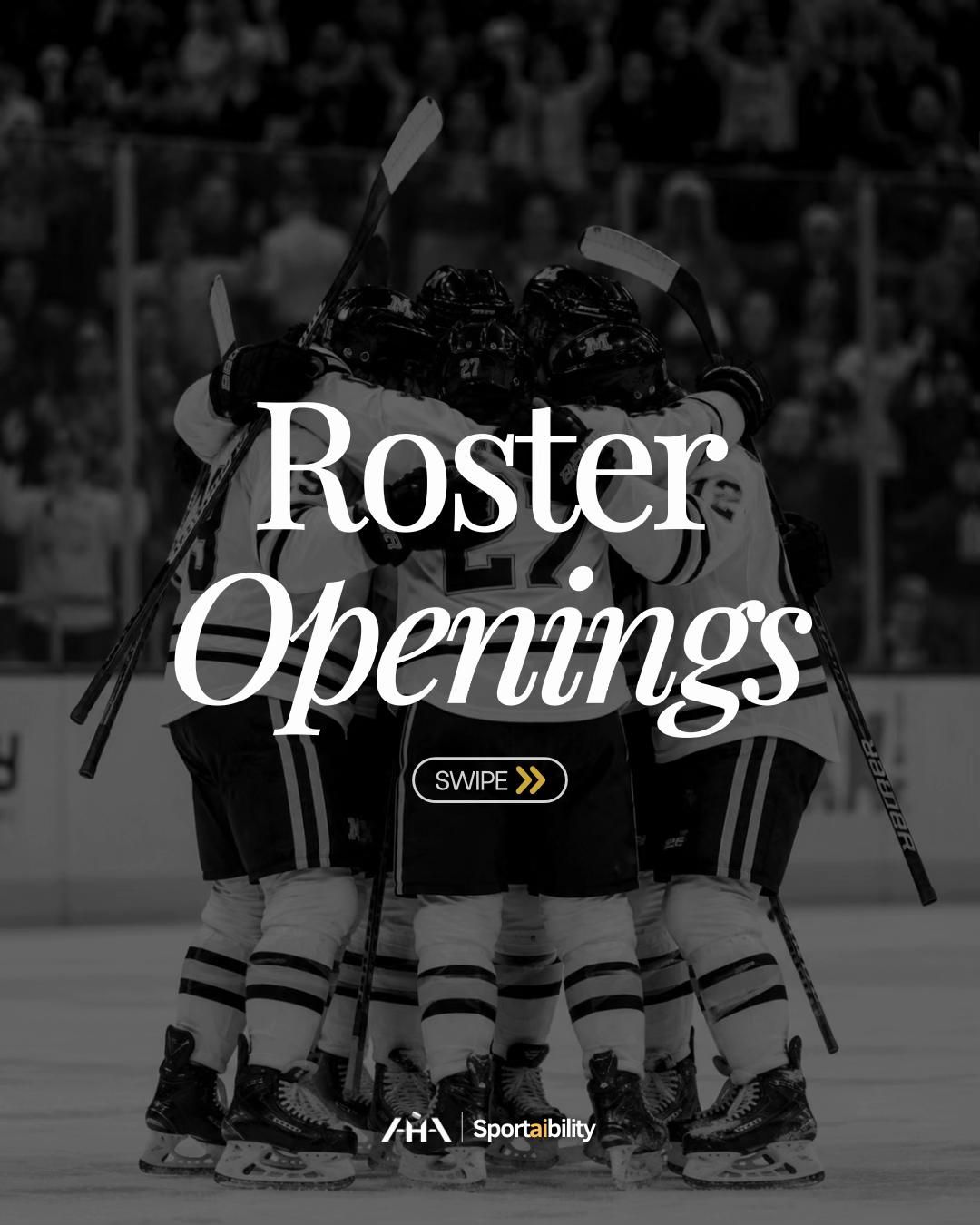 @Advancement Hockey Agency