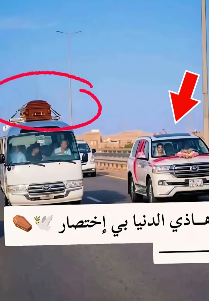 @علشيخ 💪🇲🇷👑🛻