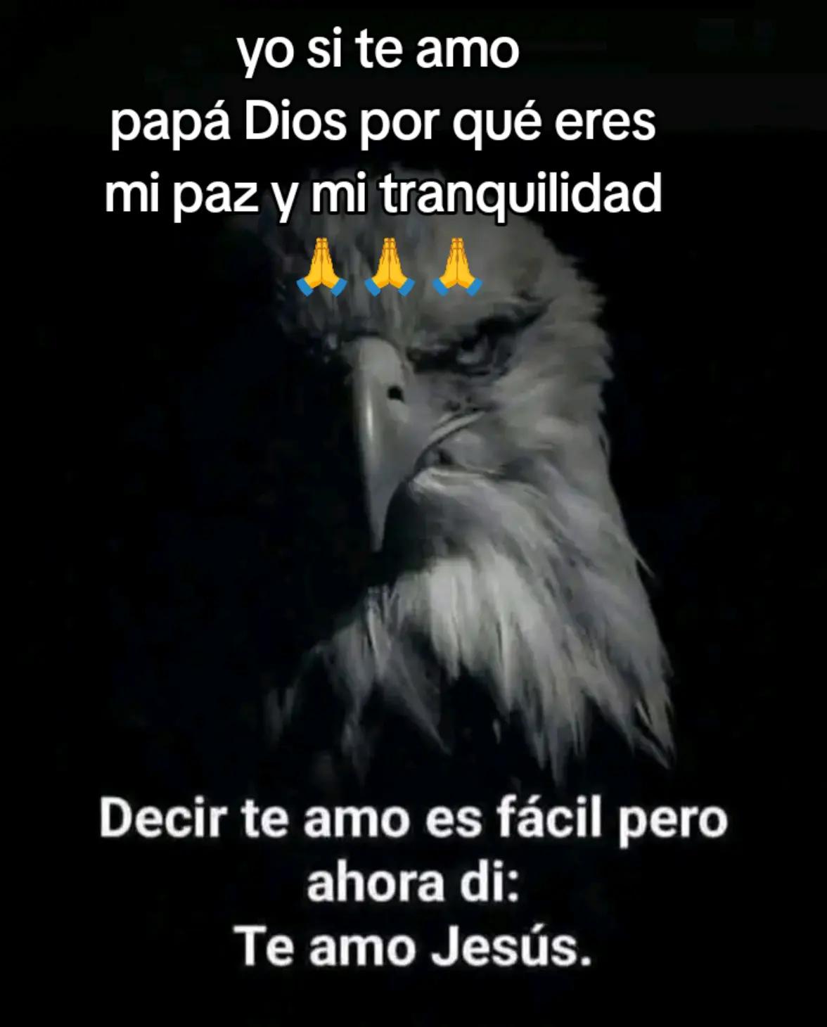 @Vegoña