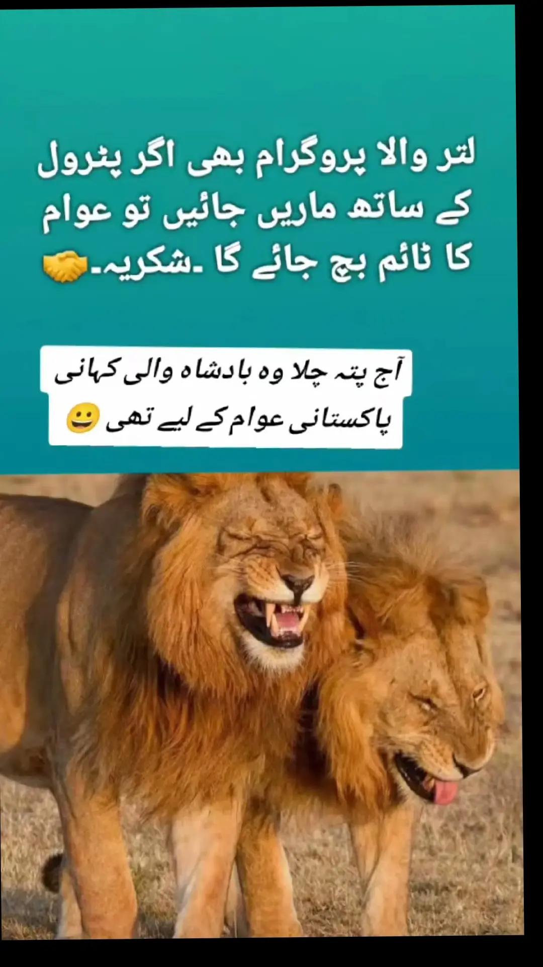 @فھد تکيف و للتبرید