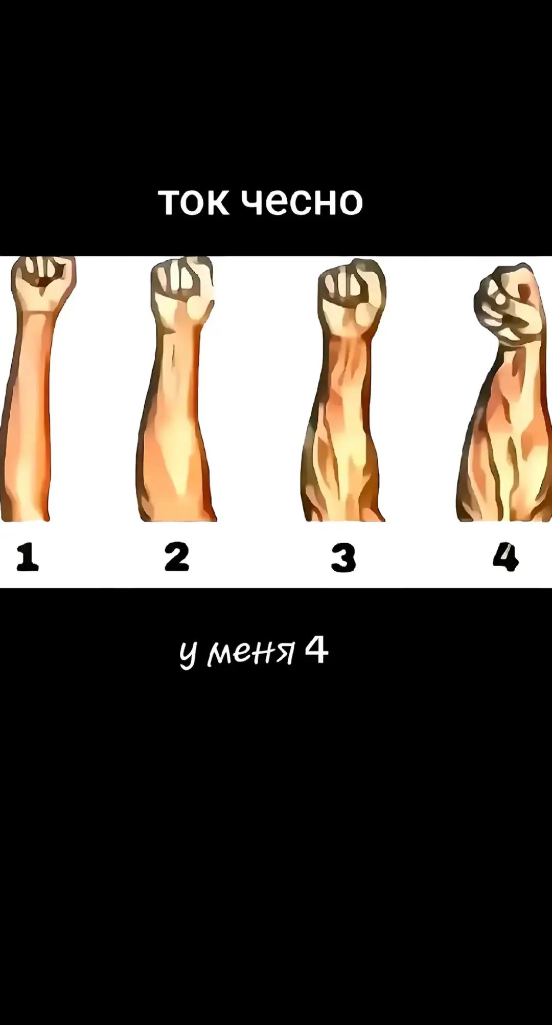 @Сергей_Мыльников#фан шгш