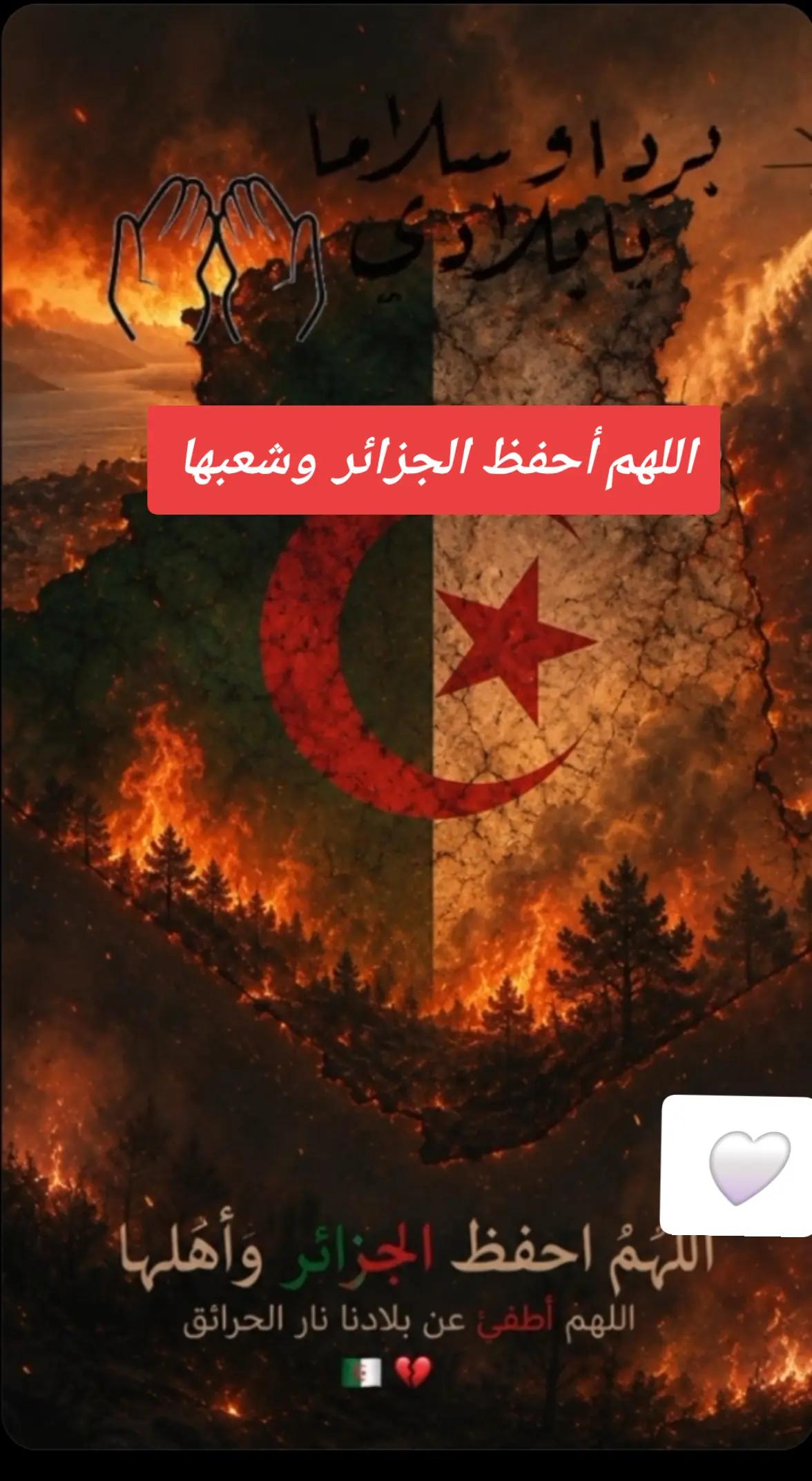 @Ahlem,dz🇩🇿