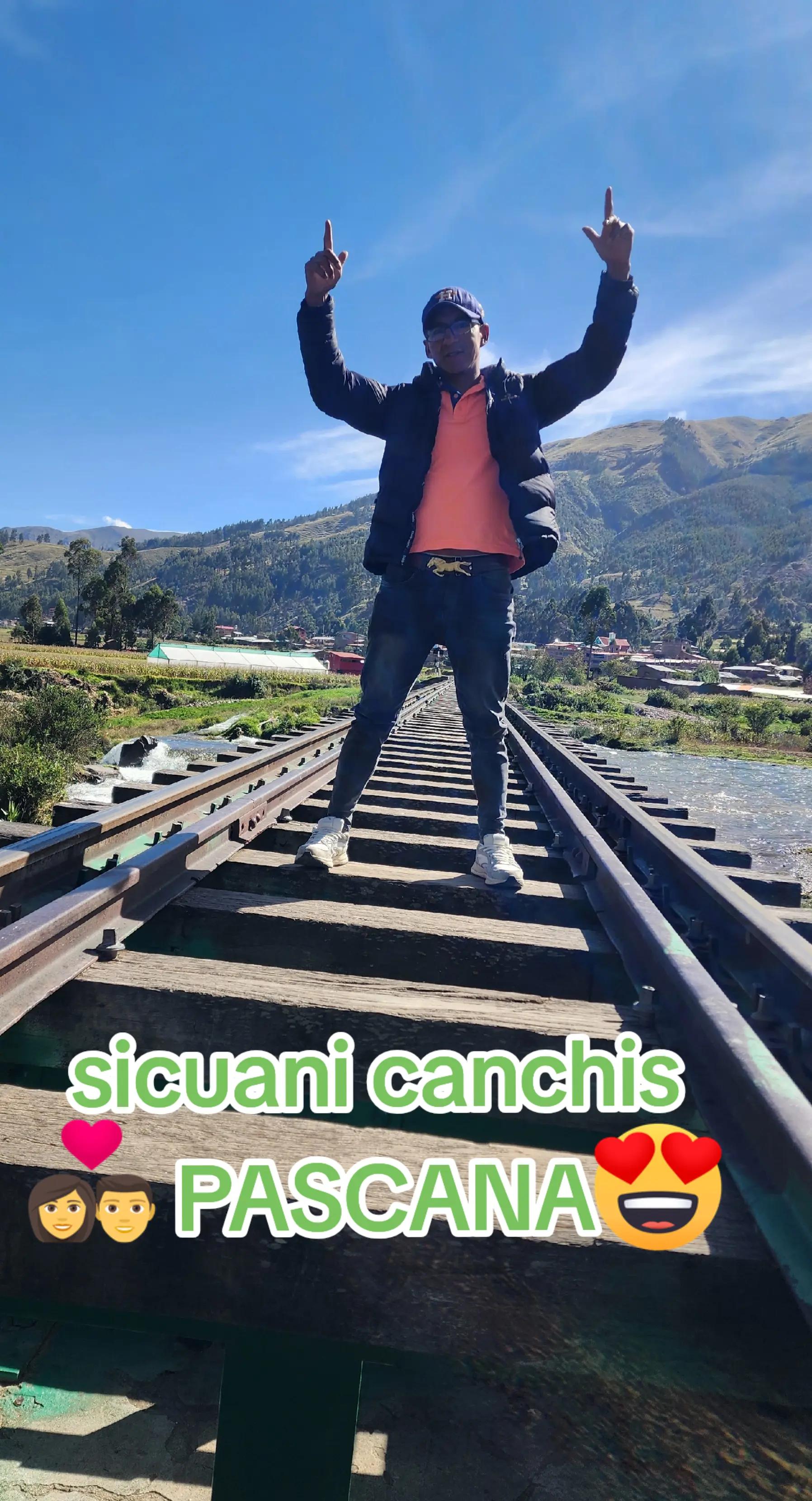 @david luna huamani