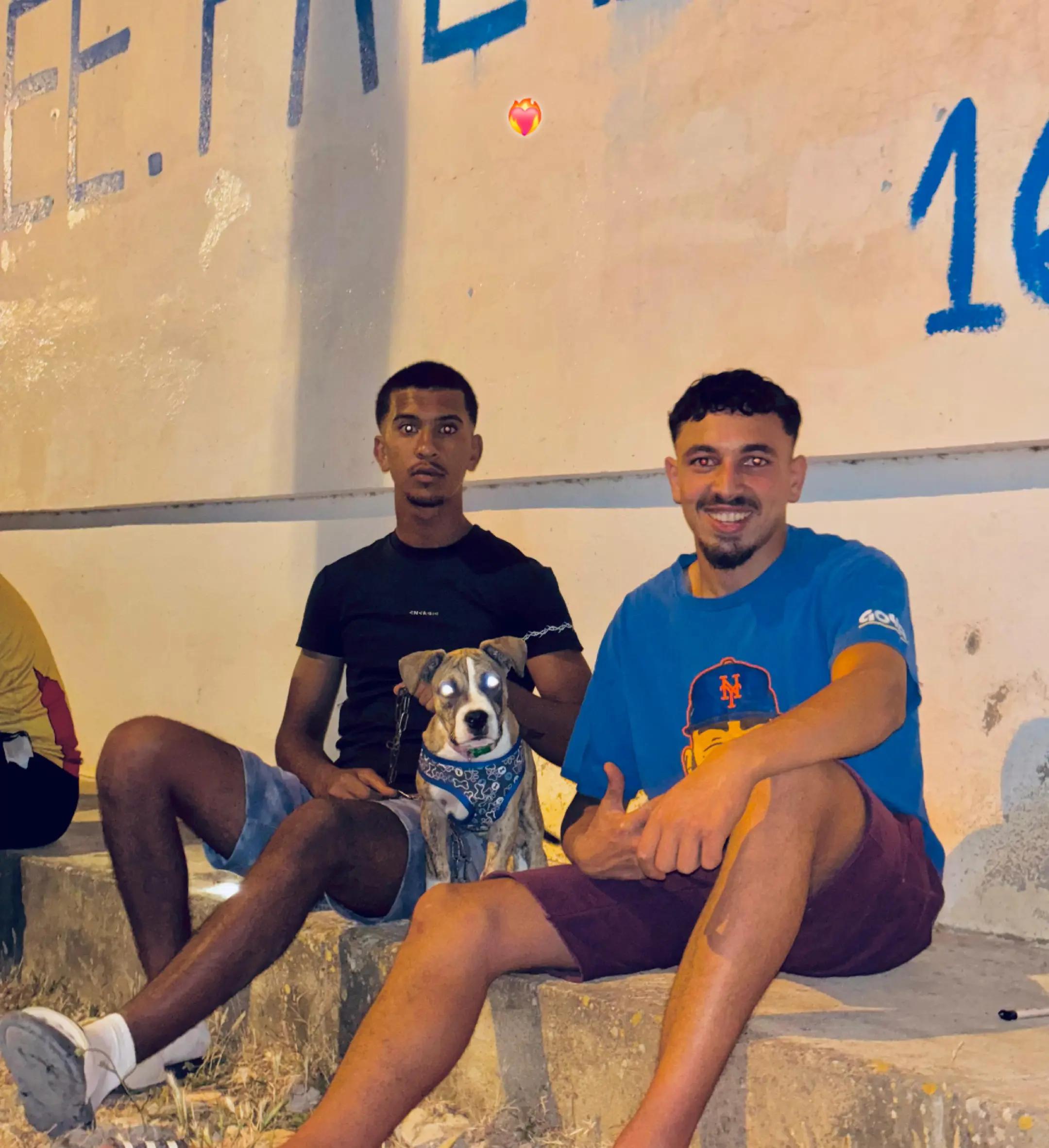@ajimi tunisino 🥷🇹🇳