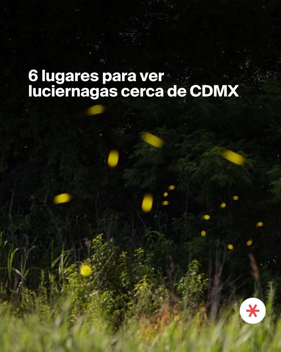 @CDMX Secreta