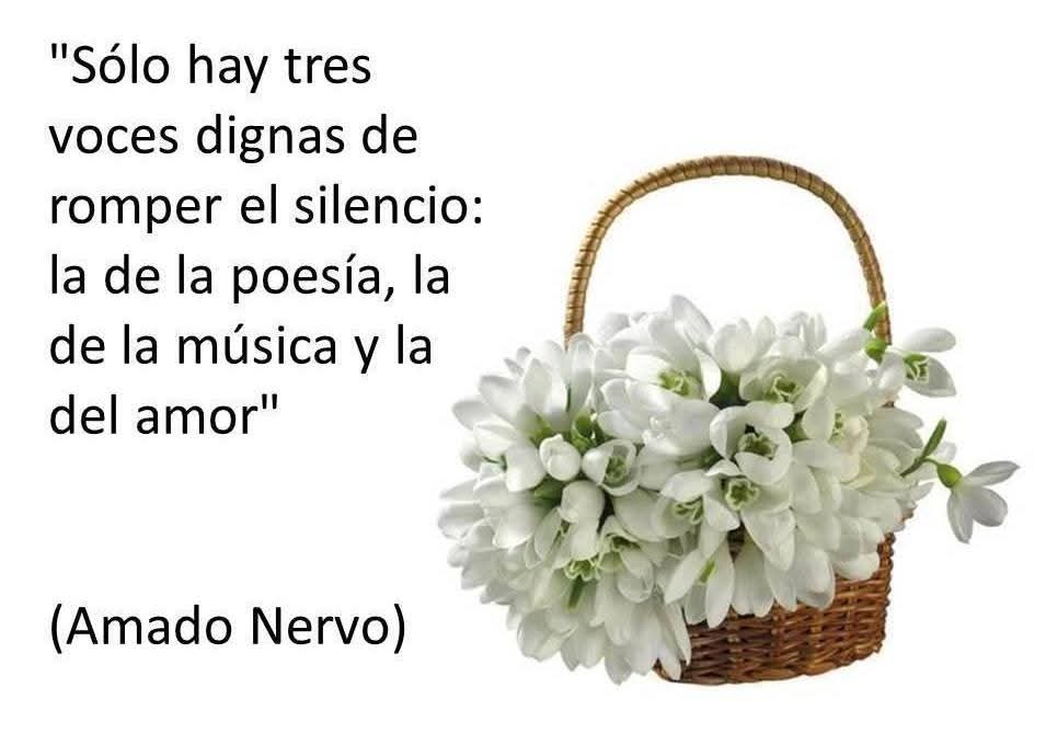 @Mojemosa.