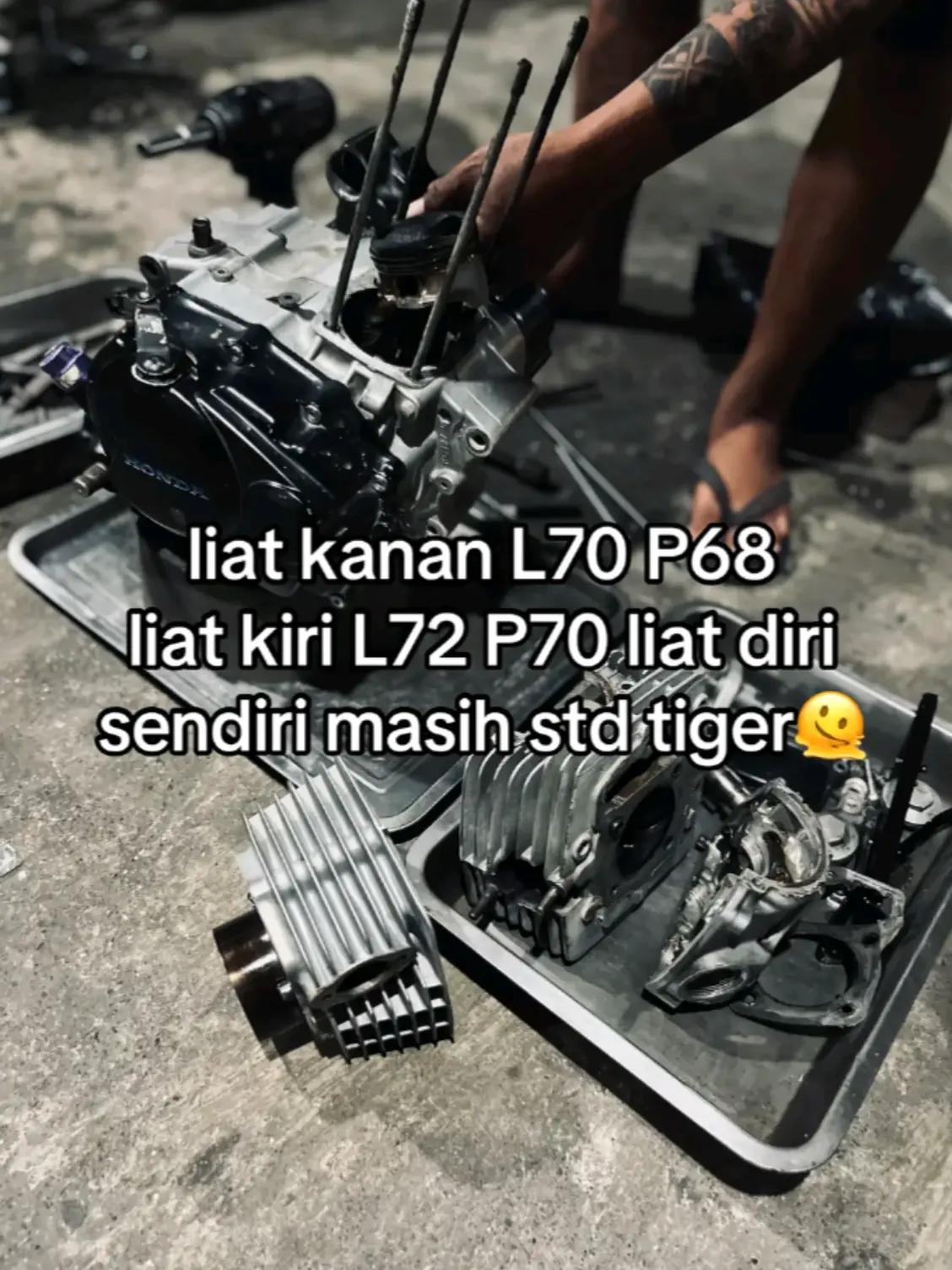 @maulanahabib