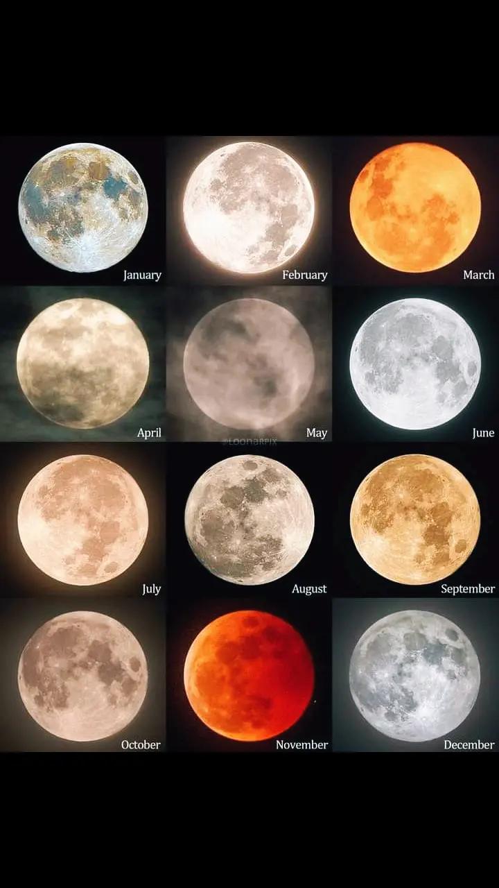 @despierta tu conciencia