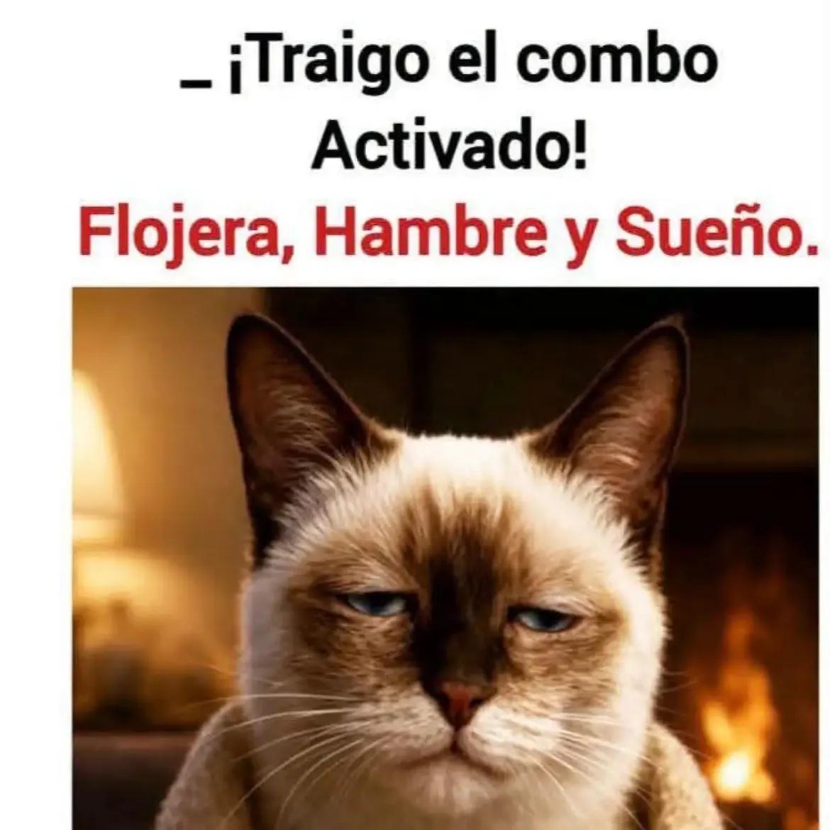 @𝕰𝖑_𝑮𝑼𝑬𝑹𝑹𝑬𝑹𝑶_🇲🇽👑✌