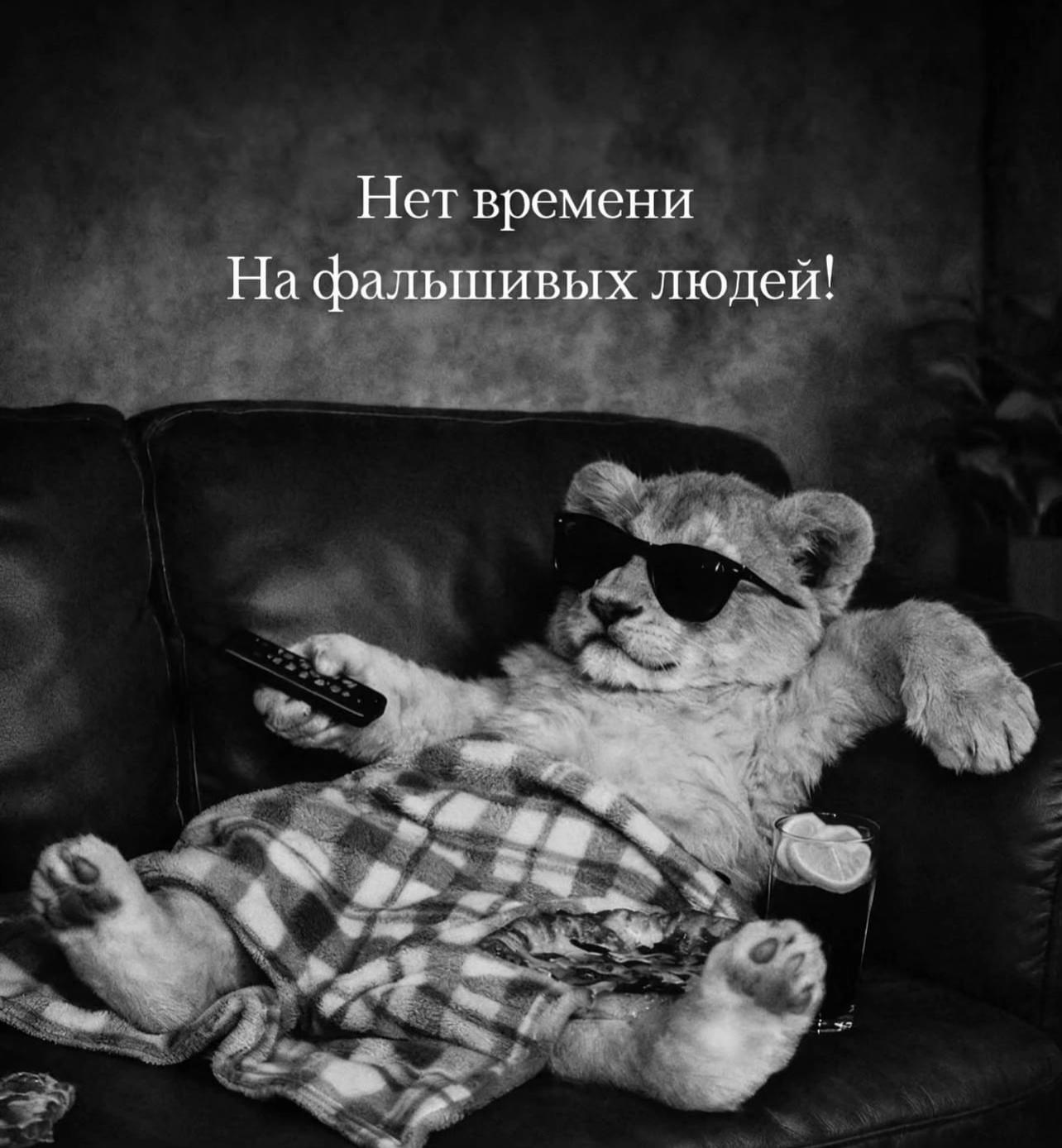 @🇦🇿🔱 САЛЕХ БАГИРОВ 🔱🇷🇺