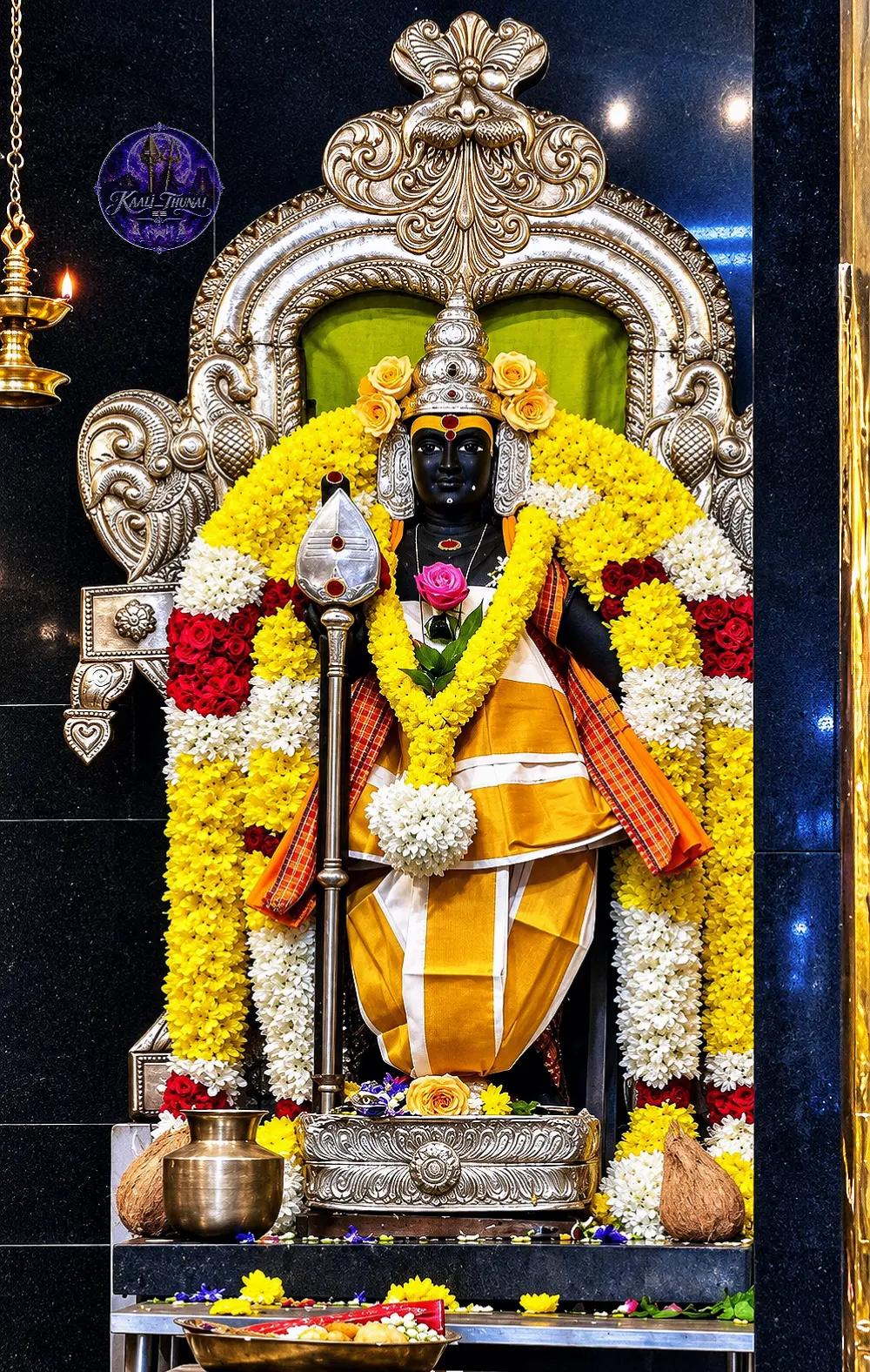 @💜🦚வேதா🔱🌝
