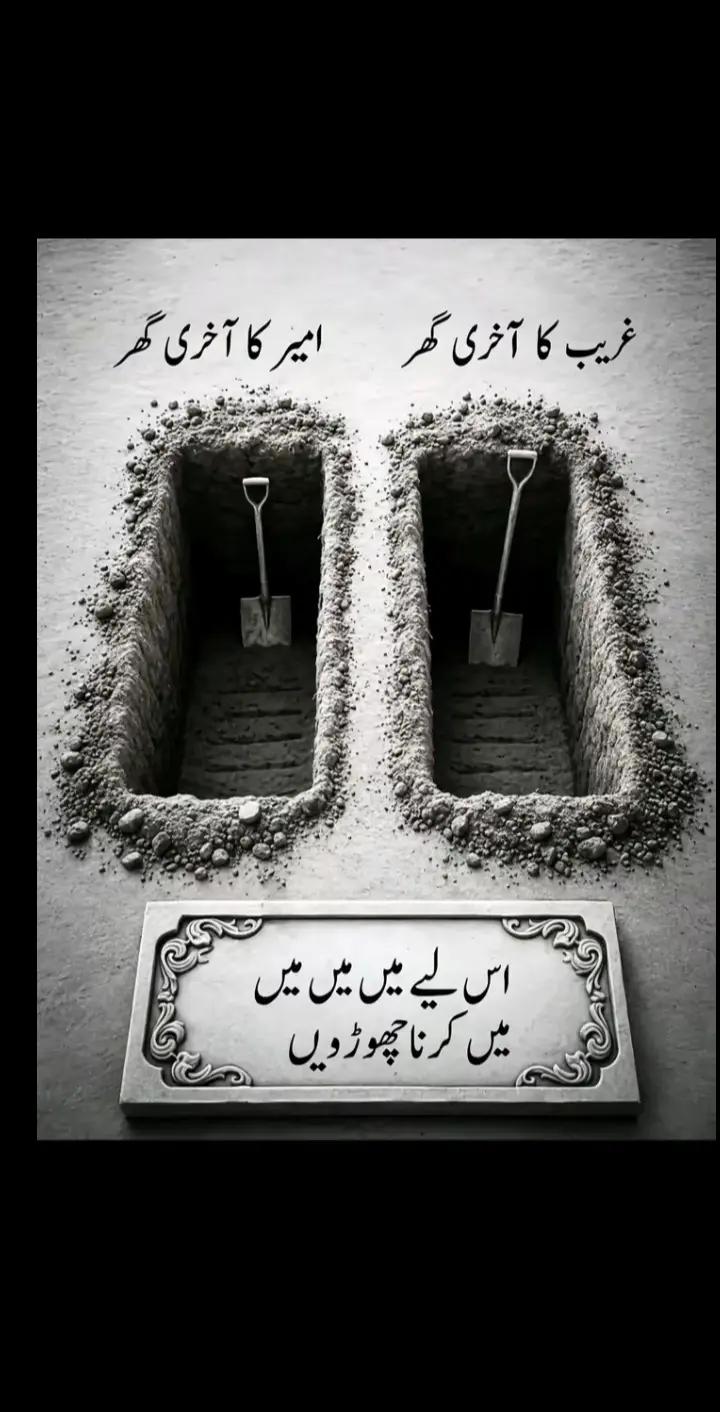@🕊️Azad  panchi 🕊️110🙌🏻