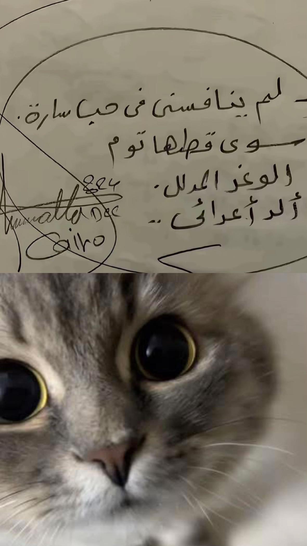 @ھ