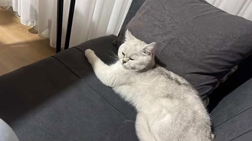 @𝐔𝐌𝐔𝐓