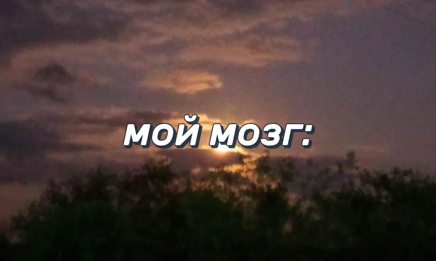 @(✿ ◕‿◕)𝕮𝖔ня